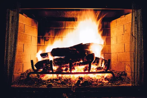 la mejor leña para chimenea