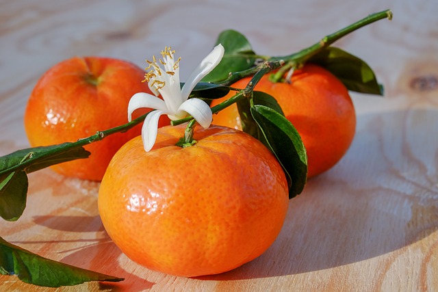 Ingredientes de Invierno