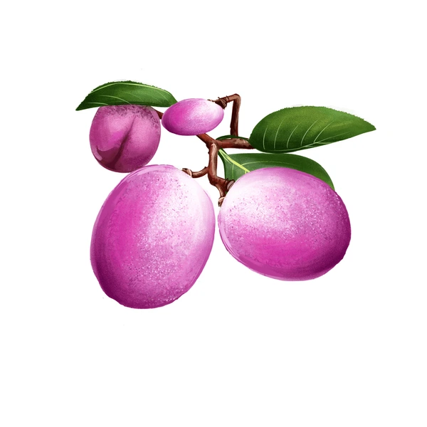 Frutas con la letra I