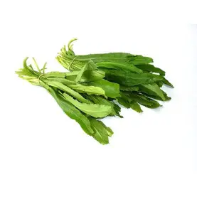 ingredientes dominicanos