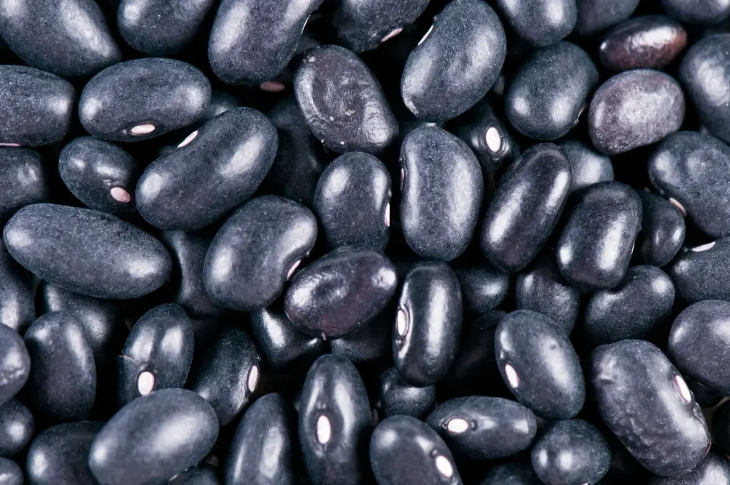 ingredientes dominicanos