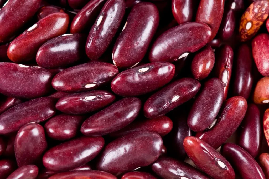 ingredientes dominicanos