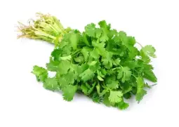ingredientes dominicanos